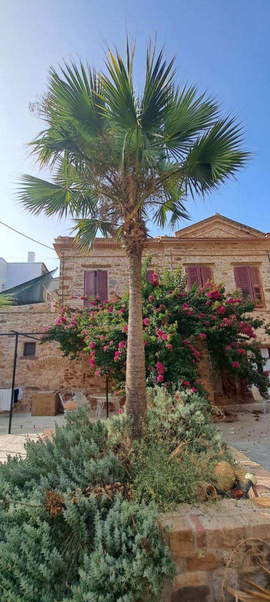 The Garden Of Chios Ferienhaus Chios Town